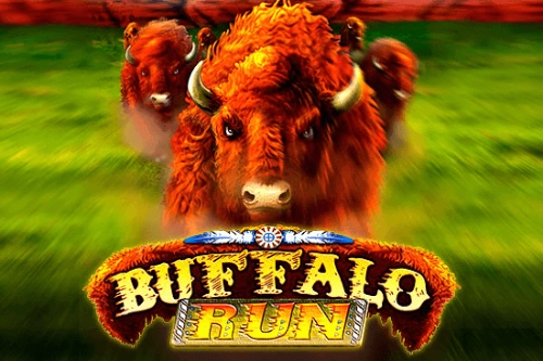 08847 buffalo run