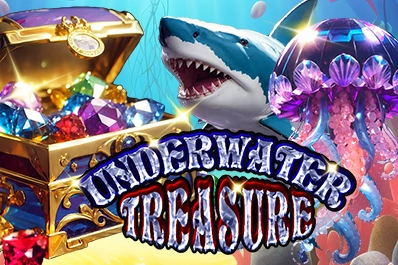 12217 underwater treasure